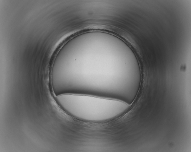 X0000110950984200906191111