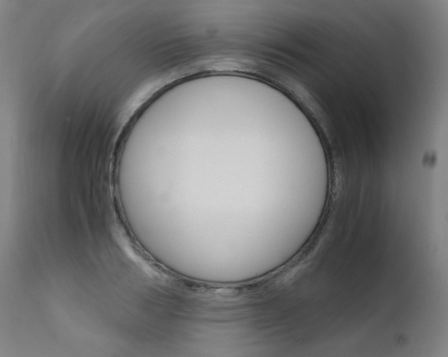 X0000110950986200906191111