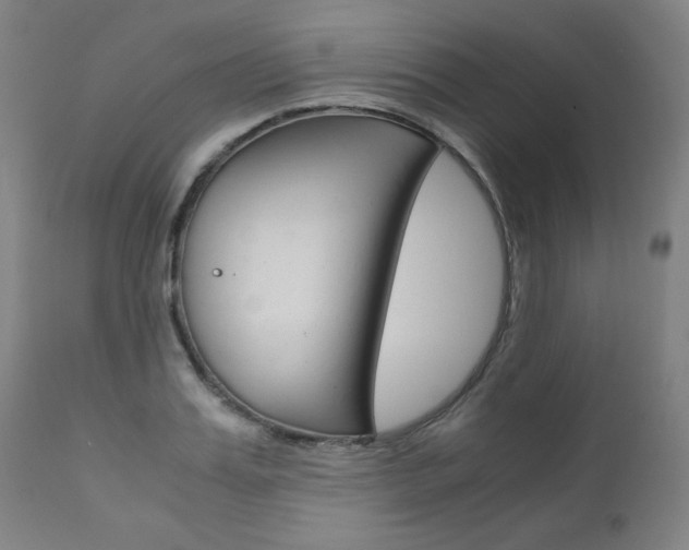 X0000110950987200906191111