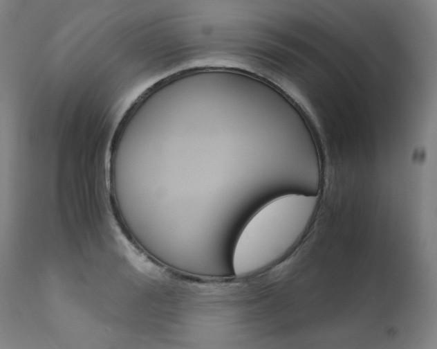 X0000110950988200906191111