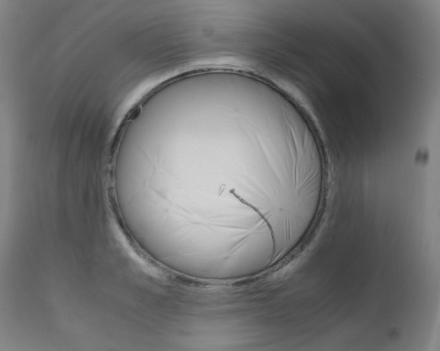 X0000110950989200906191111