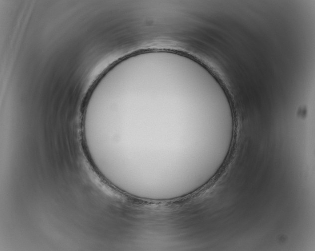 X0000110950990200906191111