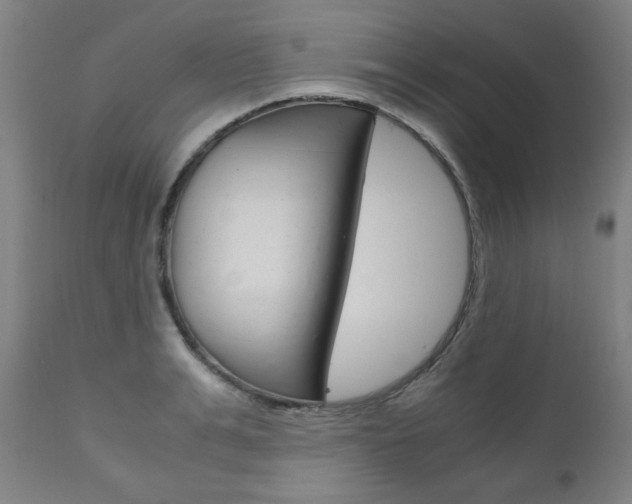 X0000110950991200906191111