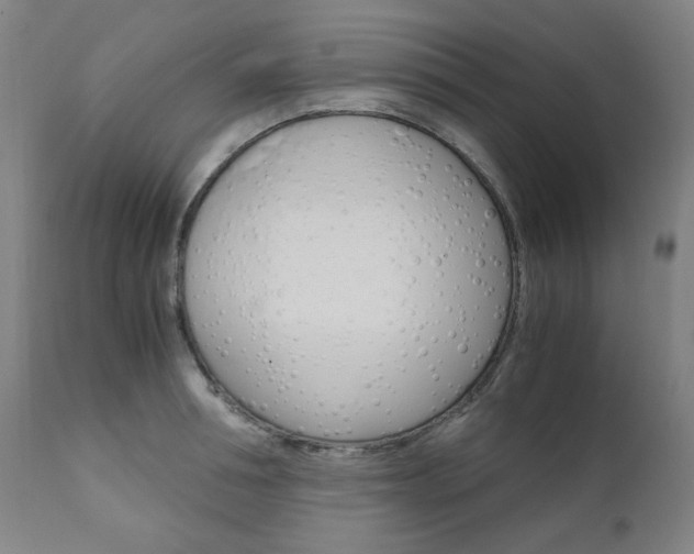 X0000110950994200906191110
