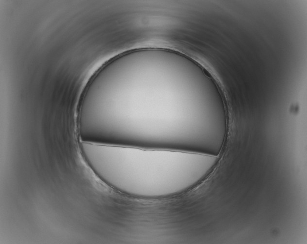 X0000110950996200906191110