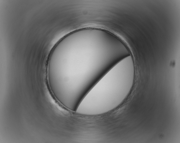 X0000110950999200906191110