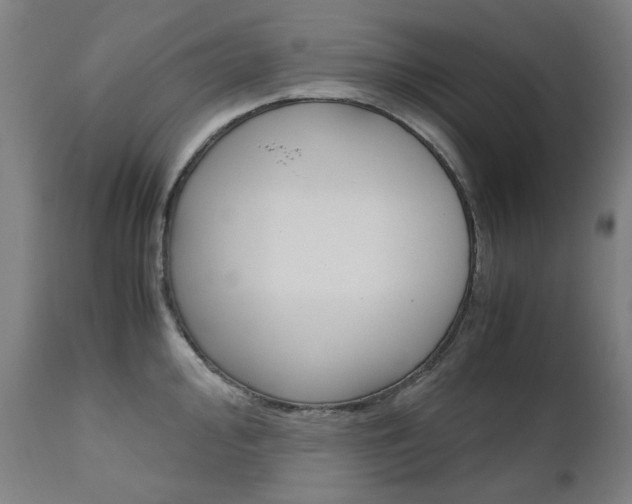 X0000110951000200906191110