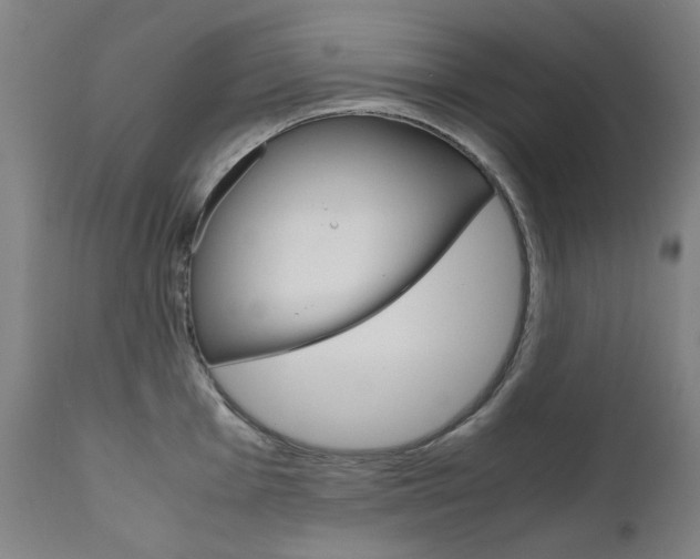 X0000110951001200906191110