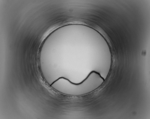 X0000110951002200906191110