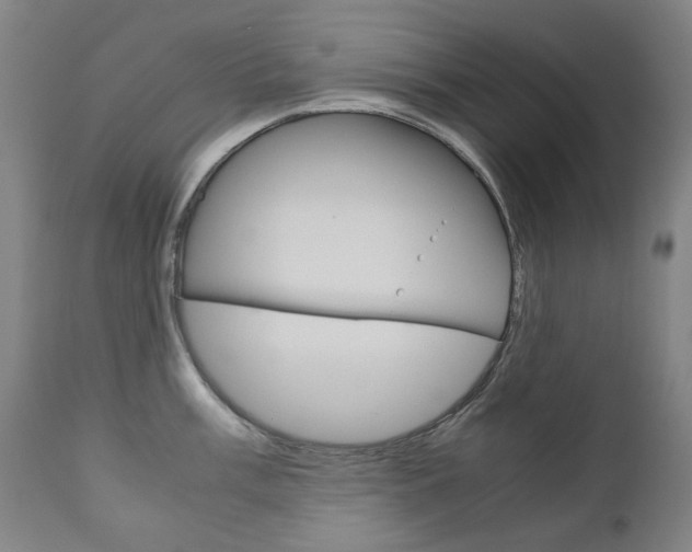 X0000110951003200906191110
