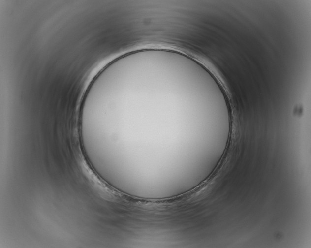 X0000110951004200906191110