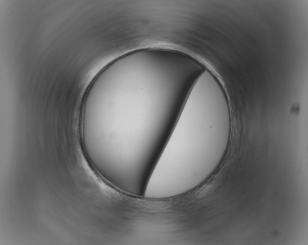 X0000110951007200906191110