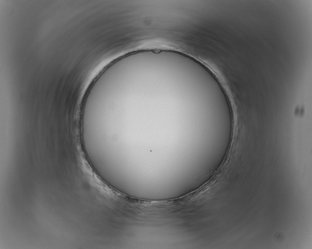 X0000110951008200906191110