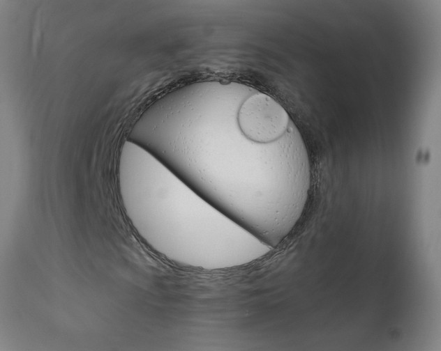 X0000110951009200906191110