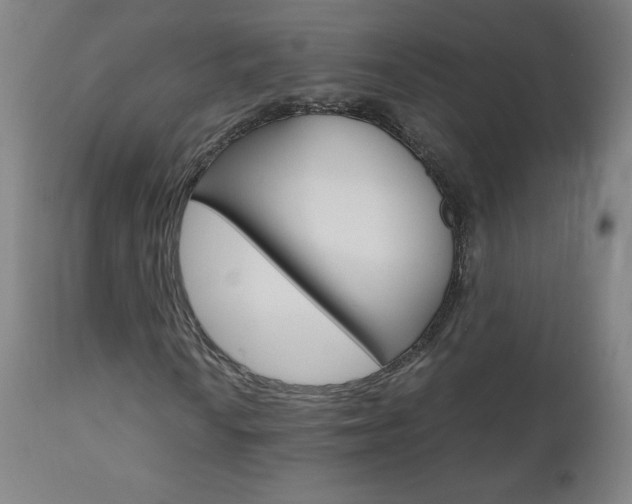 X0000110951010200906191110