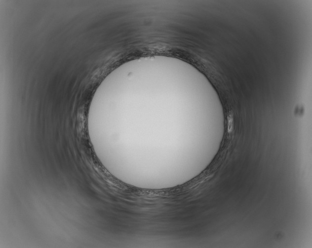 X0000110951011200906191110