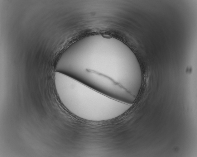 X0000110951012200906191110