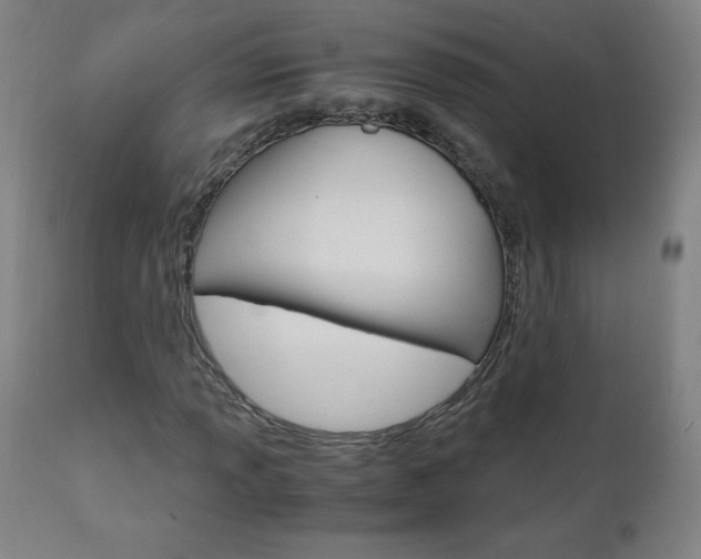 X0000110951013200906191110