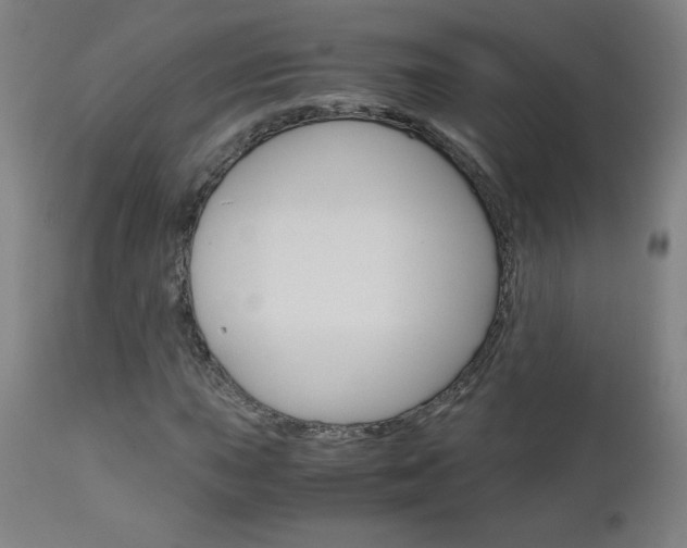 X0000110951015200906191110