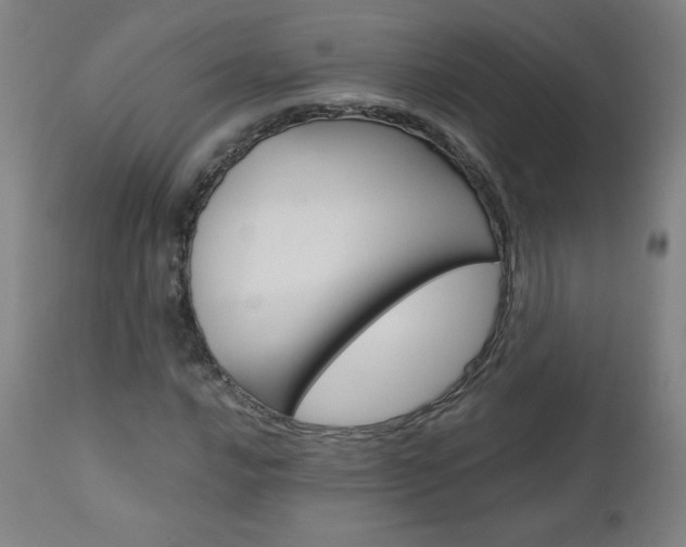 X0000110951016200906191110
