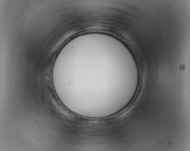 X0000110951017200906191110