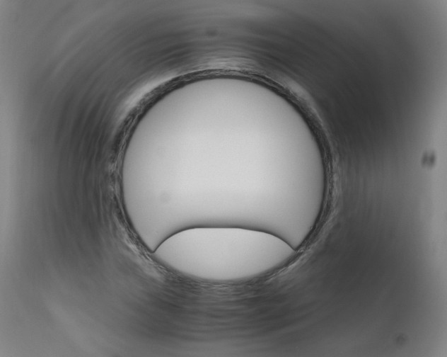 X0000110951019200906191110