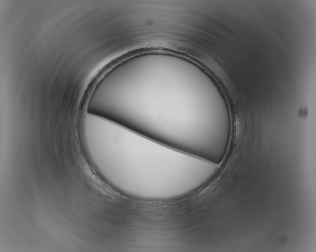 X0000110951020200906191110