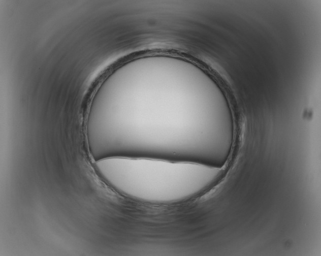 X0000110951021200906191110