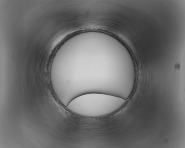 X0000110951023200906191110