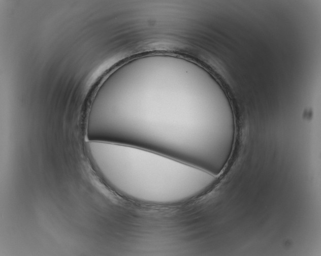 X0000110951026200906191110