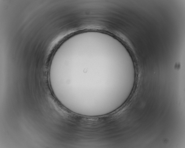X0000110951027200906191110