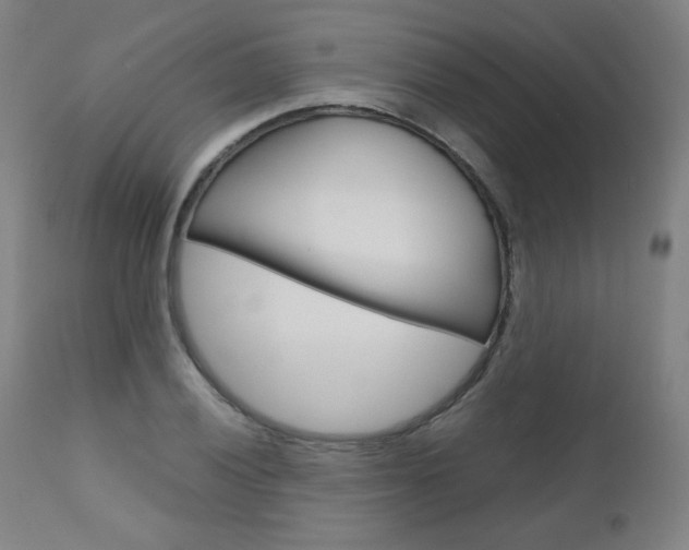 X0000110951028200906191110