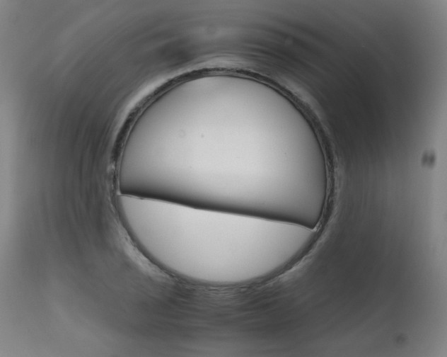 X0000110951029200906191110