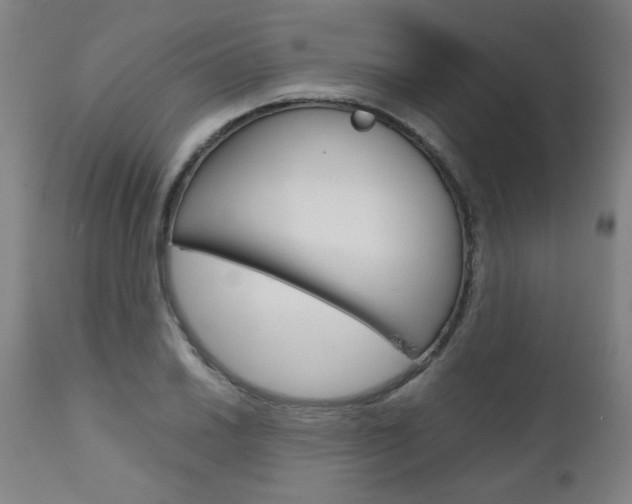 X0000110951030200906191110