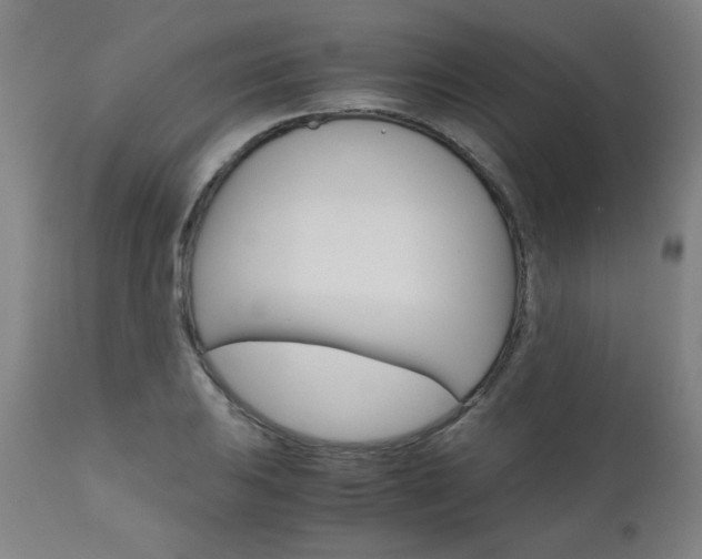 X0000110951031200906191110