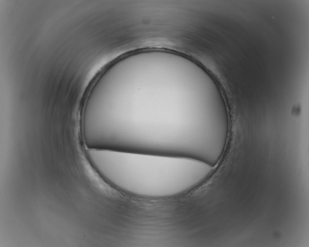 X0000110951032200906191110