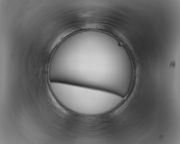 X0000110951033200906191110