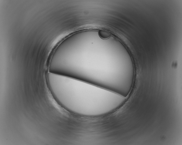 X0000110951034200906191110