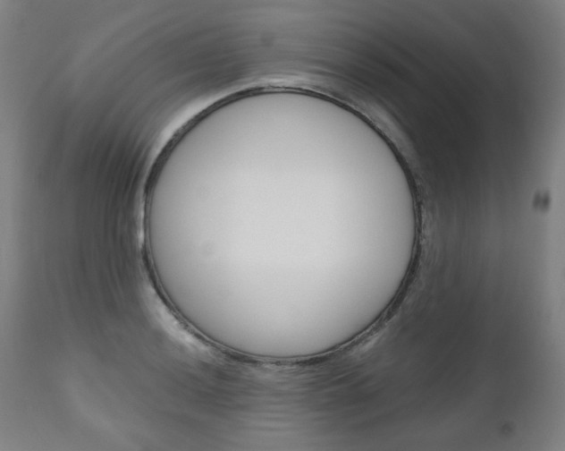 X0000110951036200906191110