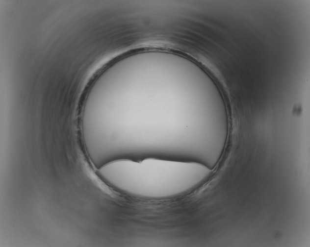 X0000110951037200906191110