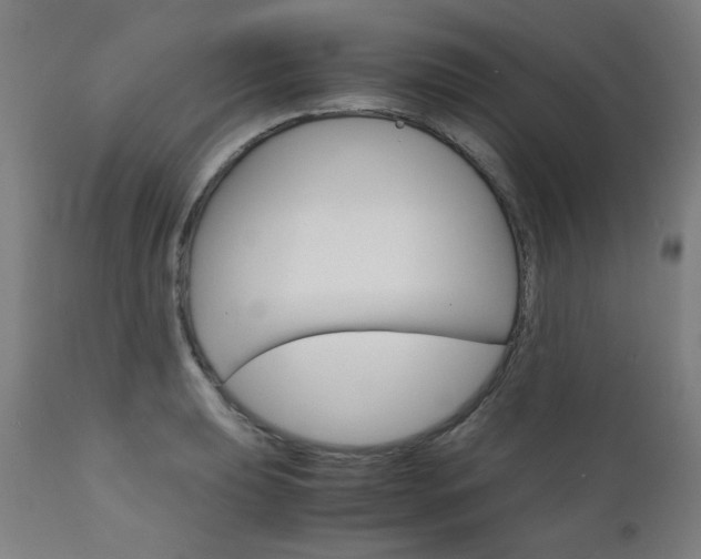 X0000110951039200906191110