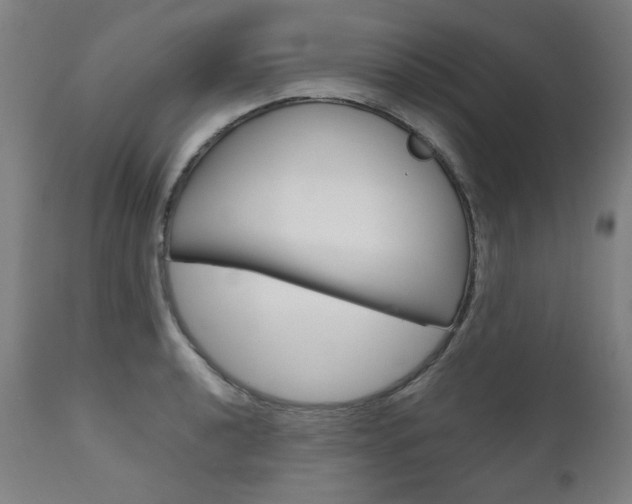 X0000110951040200906191110