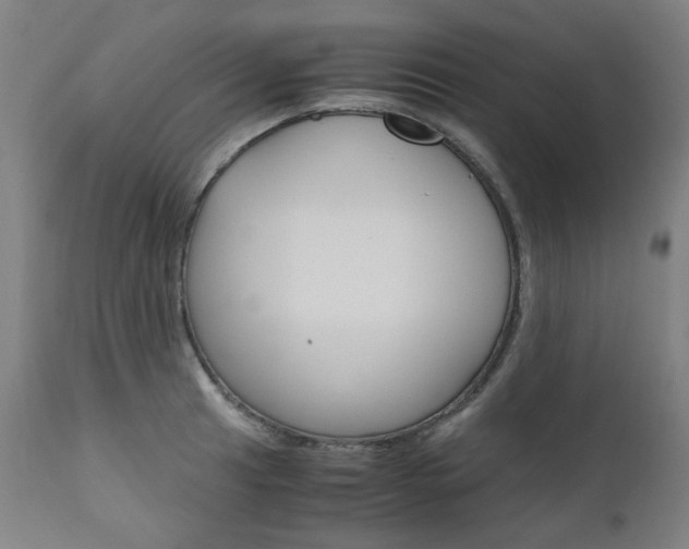 X0000110951041200906191110