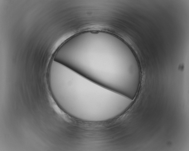 X0000110951042200906191110