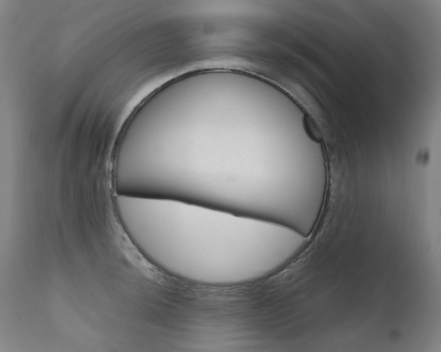 X0000110951044200906191110