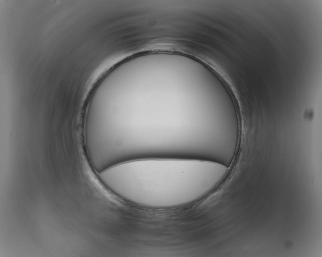 X0000110951045200906191110