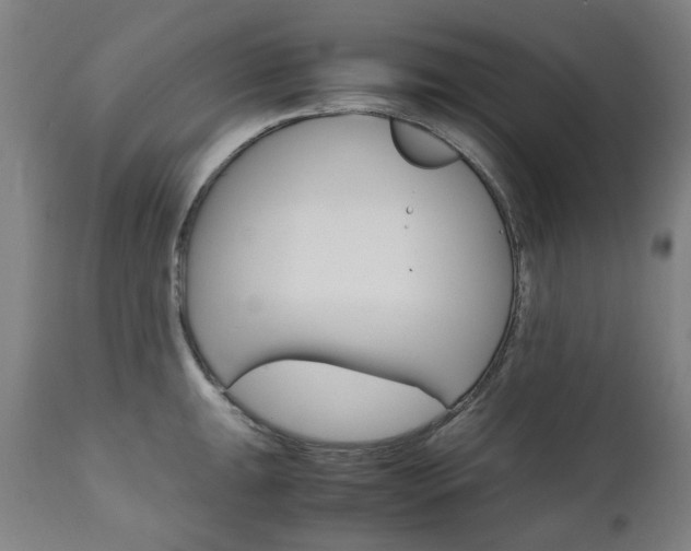 X0000110951047200906191110