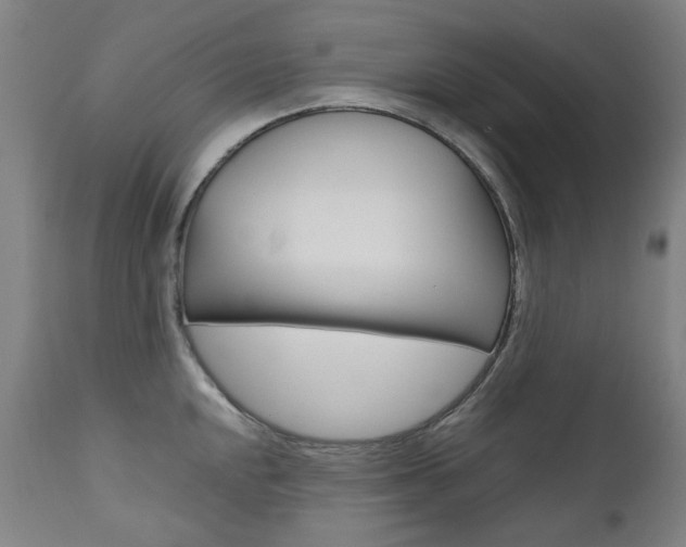 X0000110951048200906191110