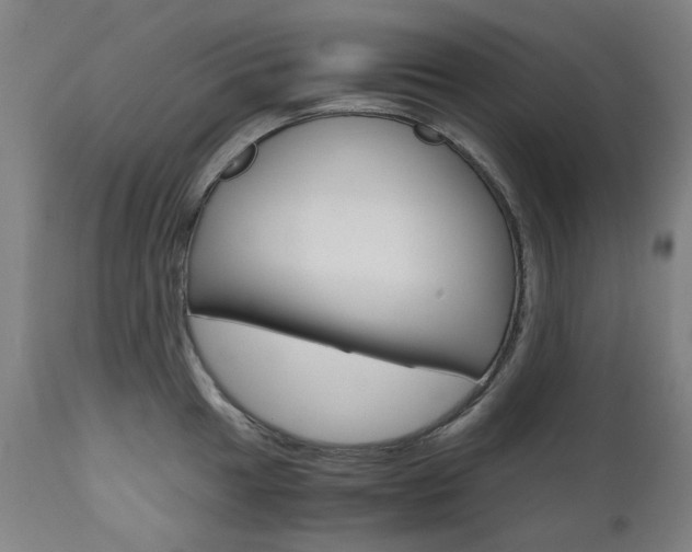 X0000110951049200906191110