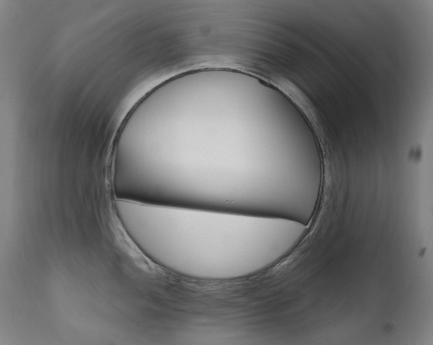 X0000110951052200906191110